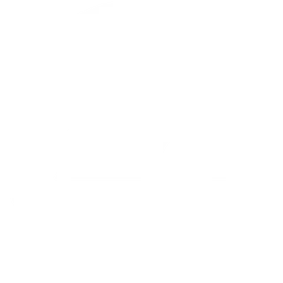 Electronic Arts