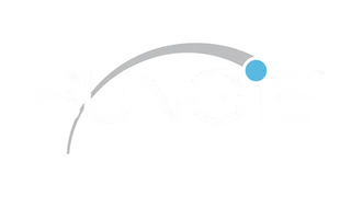 Bungie