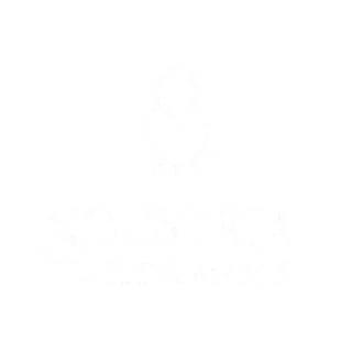 Industrial Light & Magic