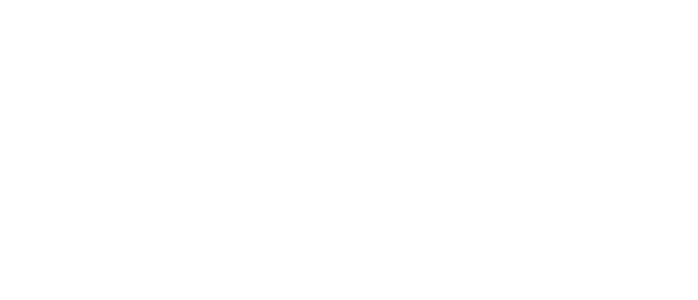 Midnight Society